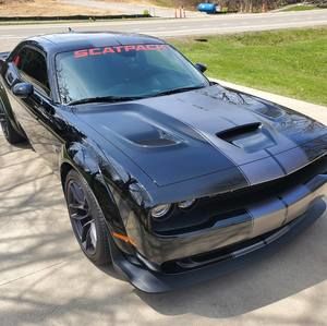 Meet your Posher, Patrick